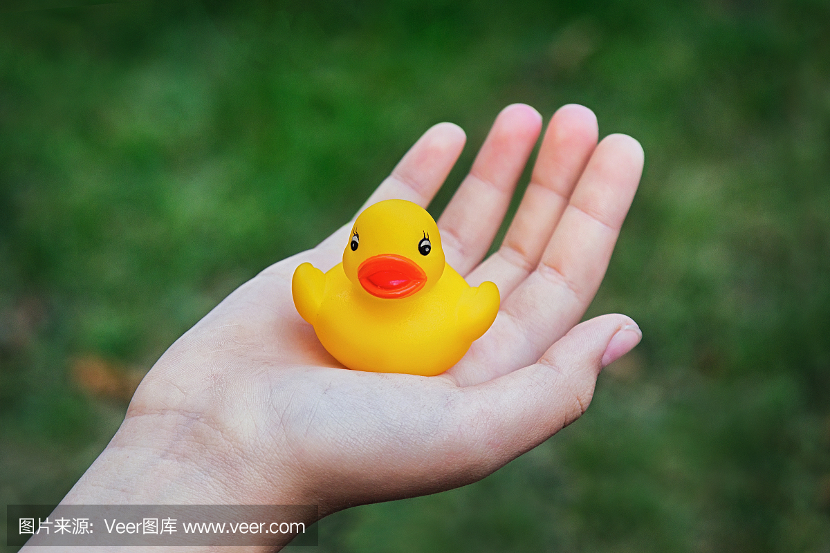 鸟鸣声,鸟鸣,鸟叫声,小鸭子