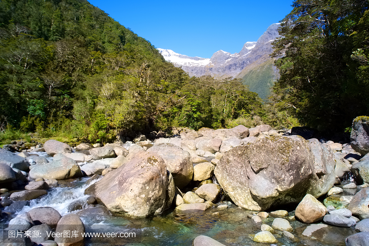 River附近的Milford Sound在峡湾国家公园,新西兰