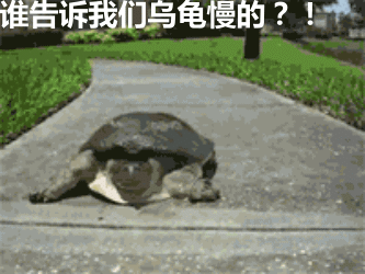 小乌龟走路动态图片