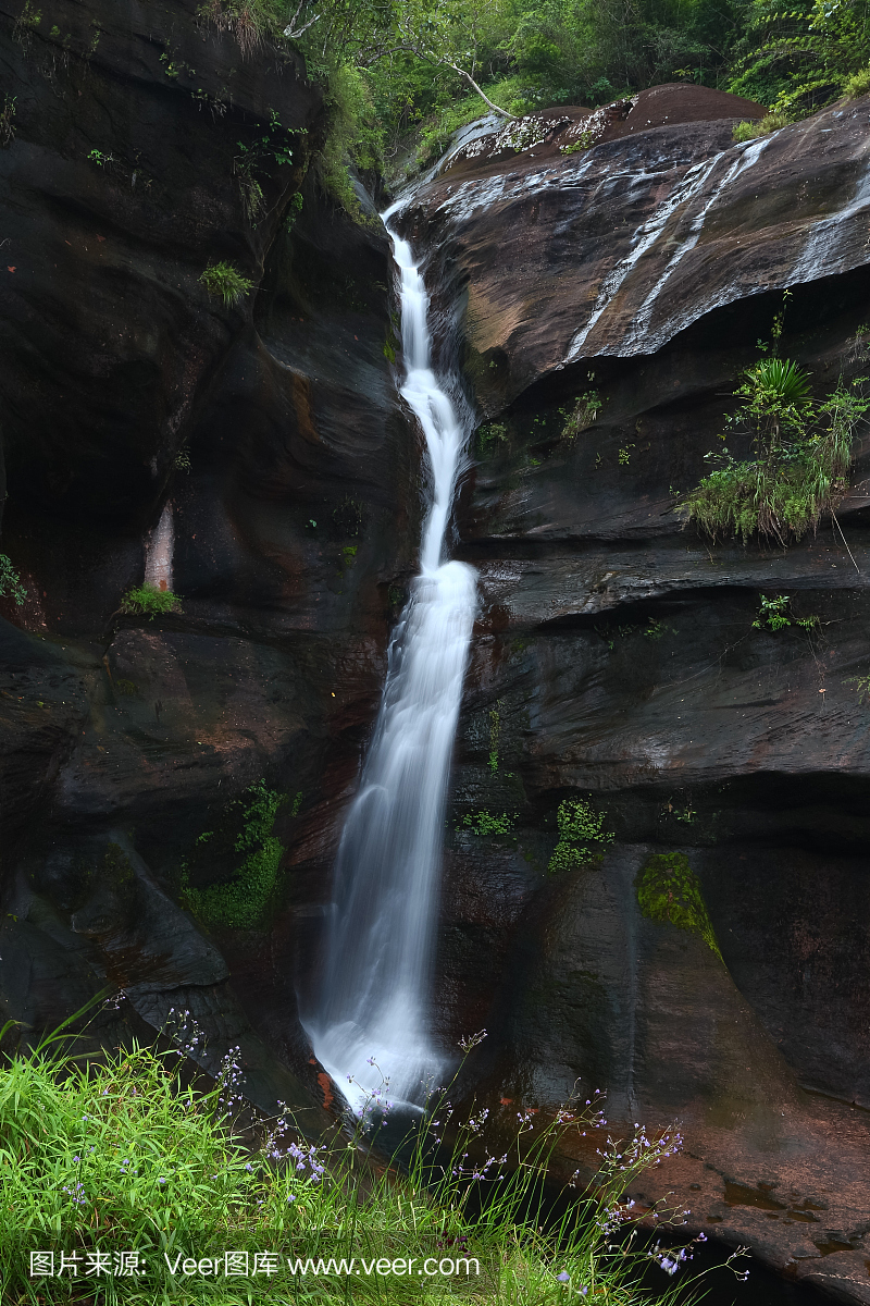l landscape in tropical Rainforest , slow shutter