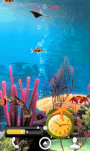 安卓手机动态壁纸鱼