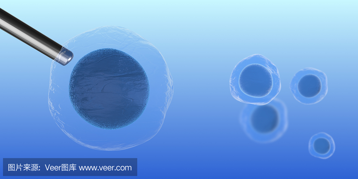 人类胚胎干细胞分子生物化学研究技术