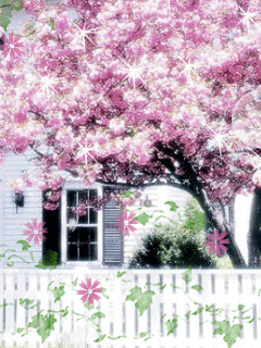 电脑樱花动态壁纸