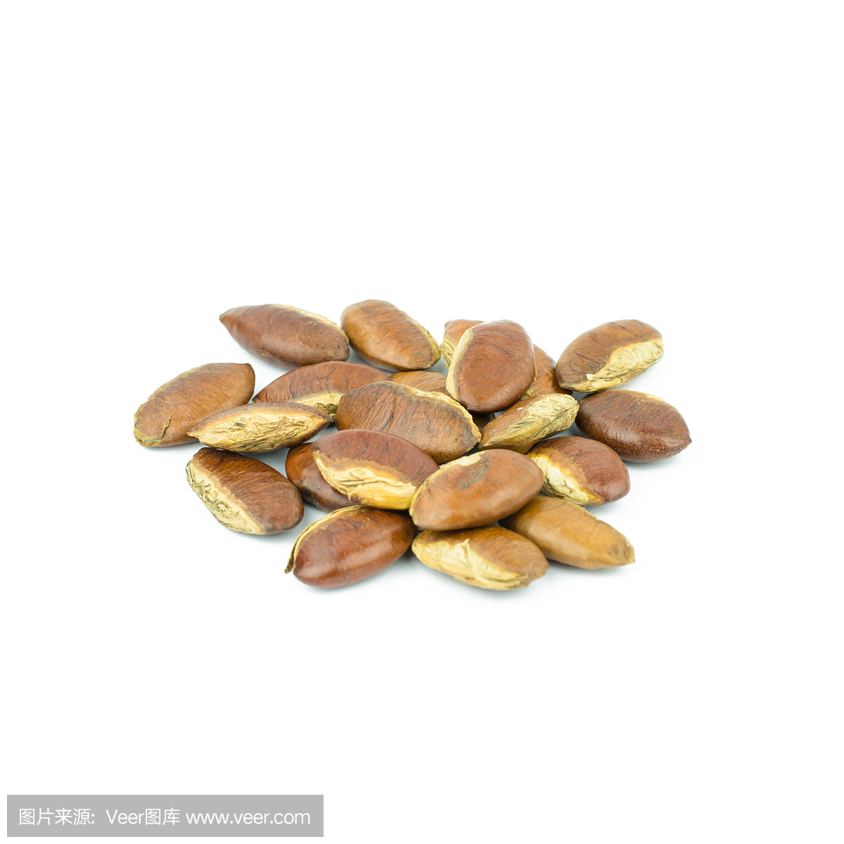 薄膜,表膜,坚果壳,坚果外壳