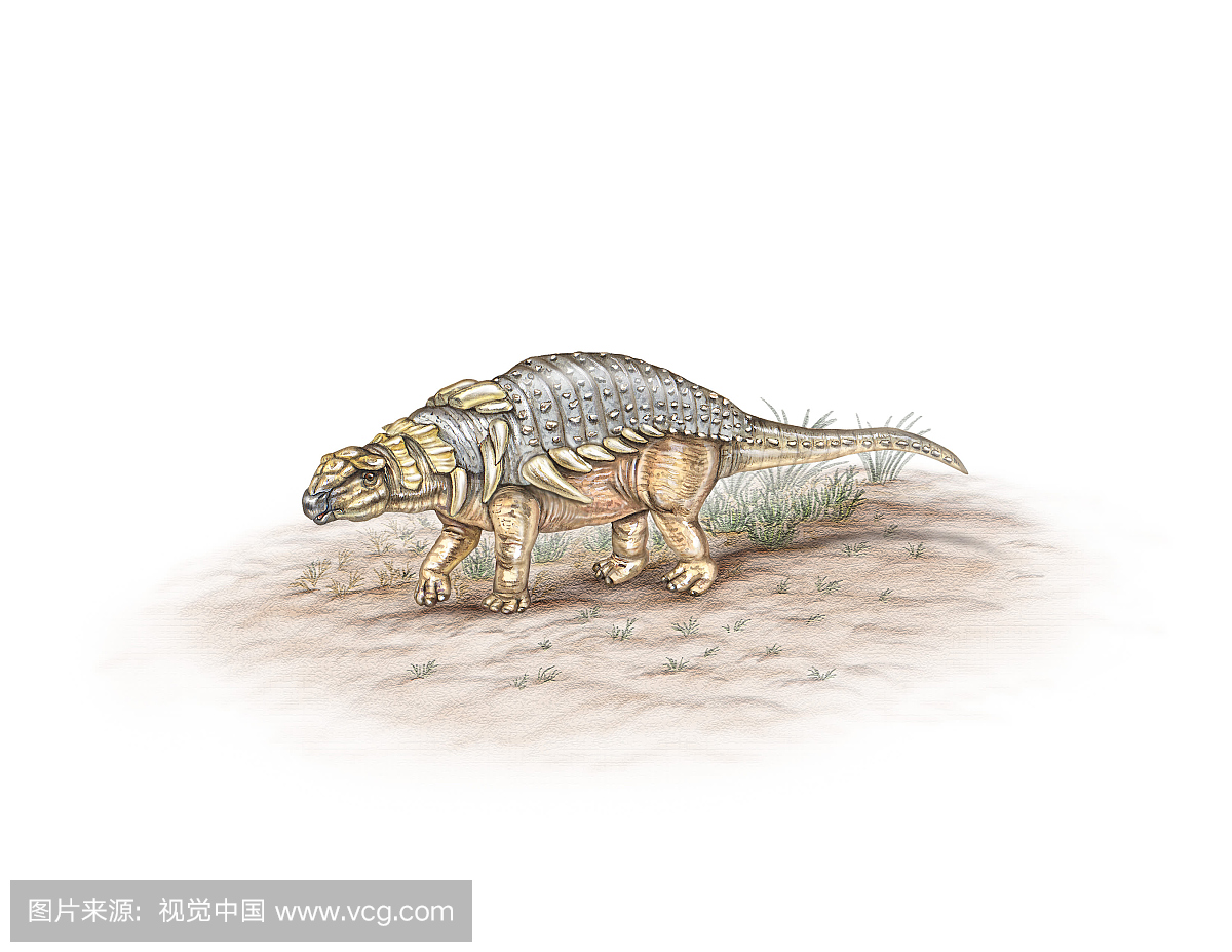 埃德蒙顿甲龙属