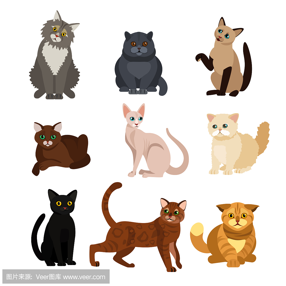 矢量插图的猫不同品种设置,可爱的宠物,可爱的