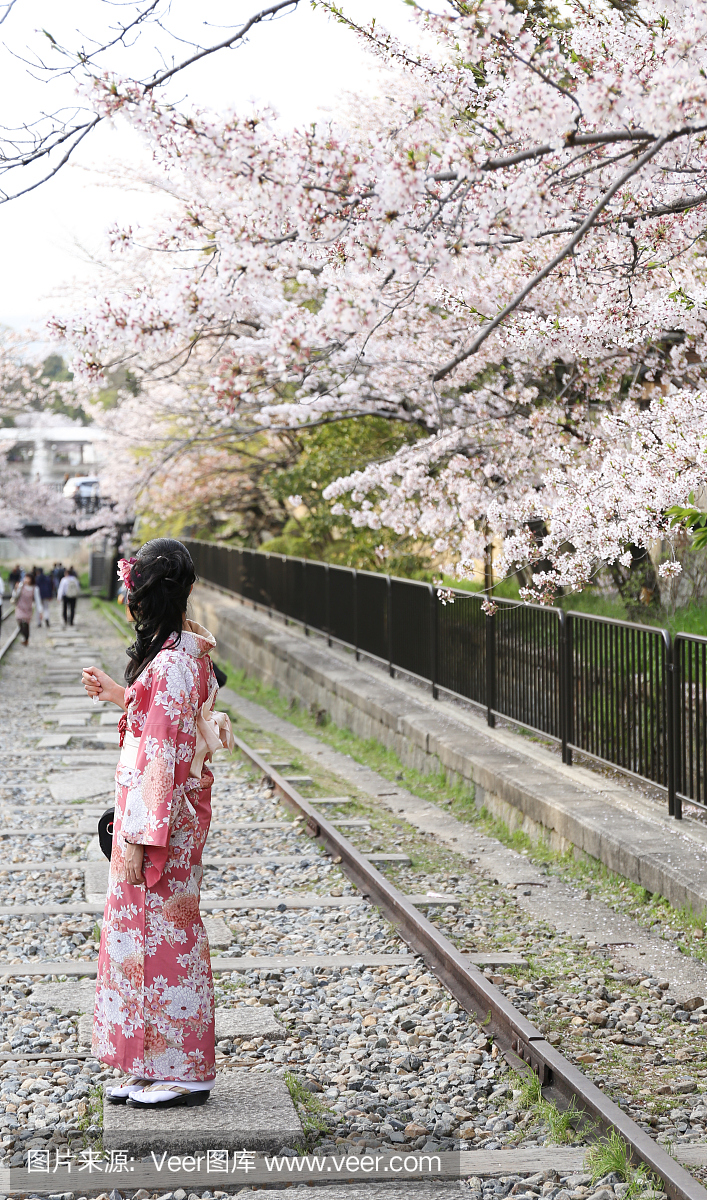 传统服饰的日本女孩叫做和服与樱花
