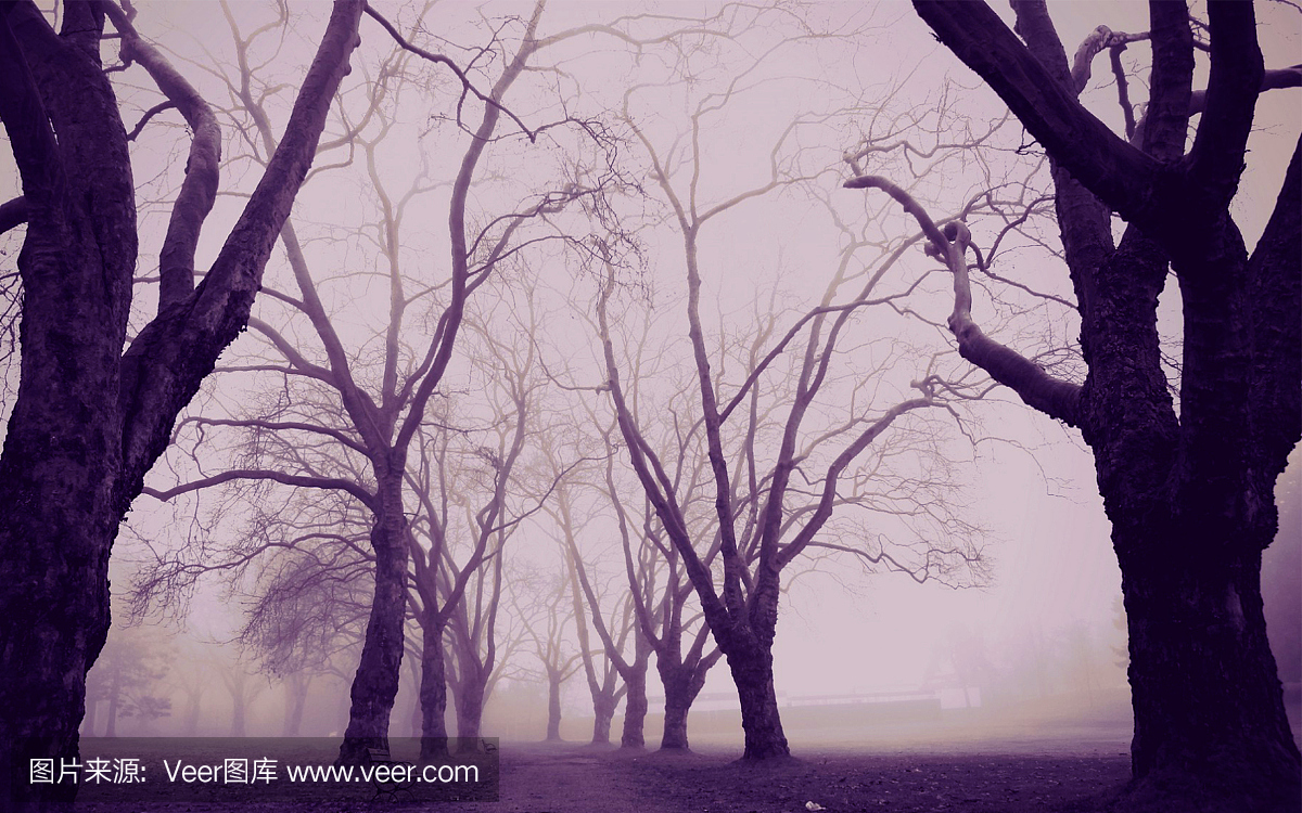 可怕的森林与可怕的树木