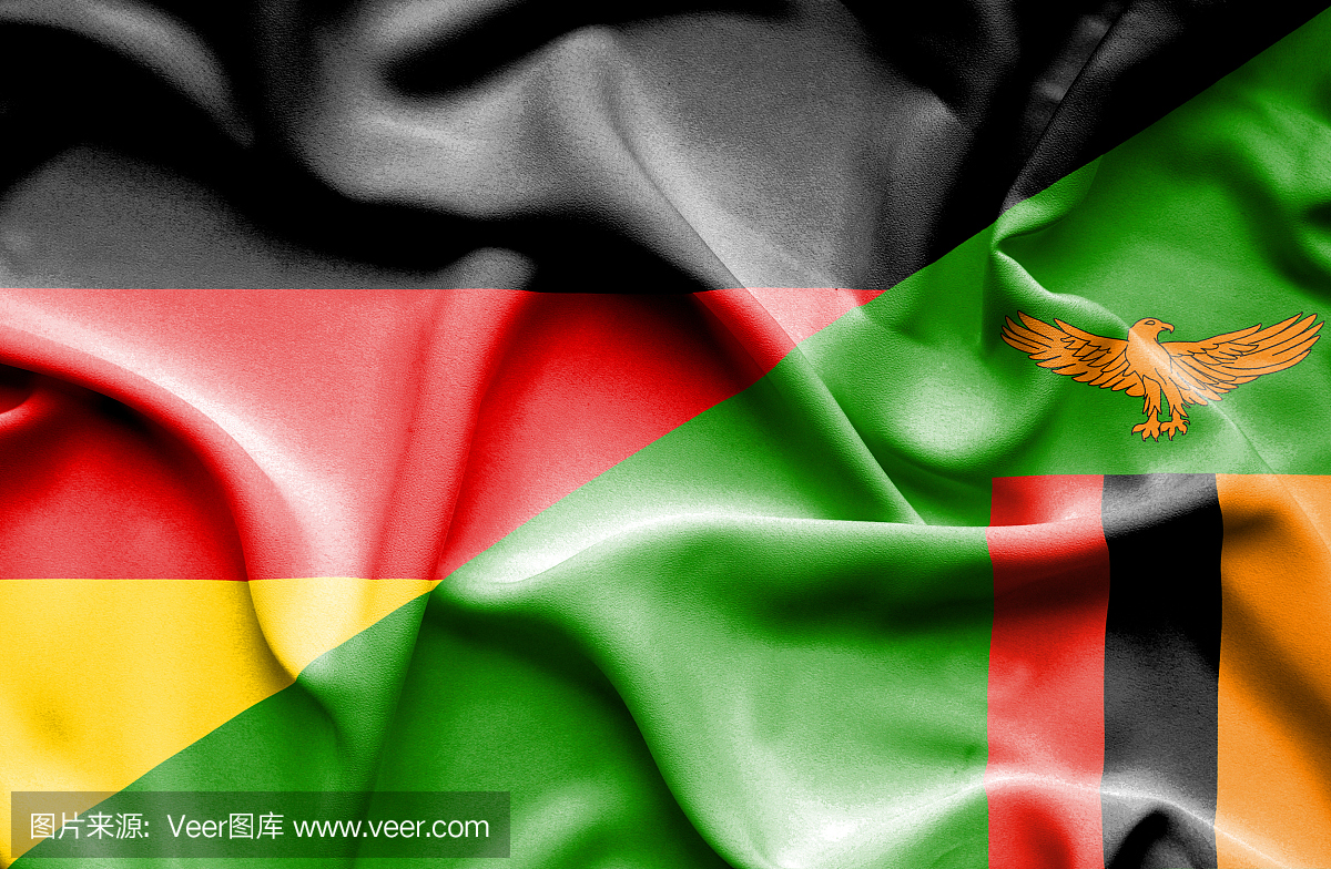 挥舞着津巴布韦和德国的旗帜