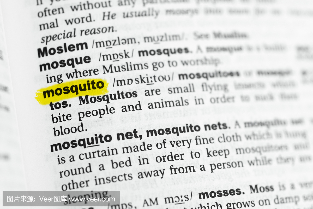 突出英文单词'mosquito'及其定义