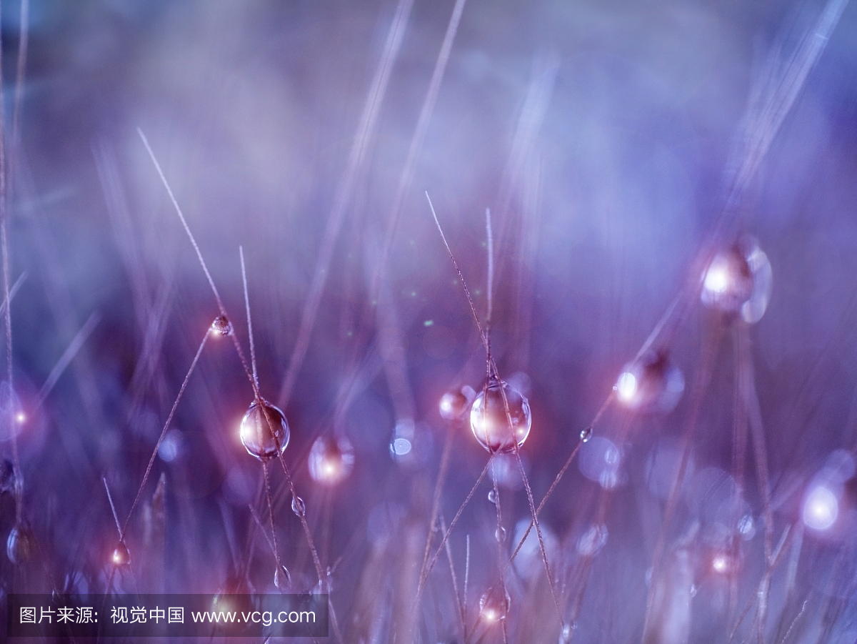 魔法符咒,驱邪,魔法,咒语的