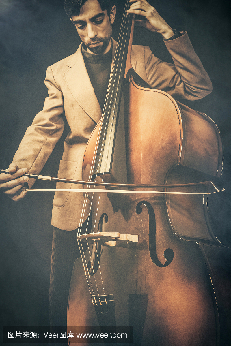 低音提琴,双贝司,贝斯,独奏演员