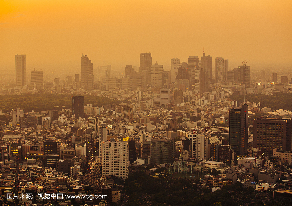 东京景观在夕阳,关东地区,日本