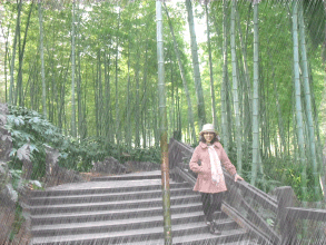 雨中竹林动态壁纸-172kb