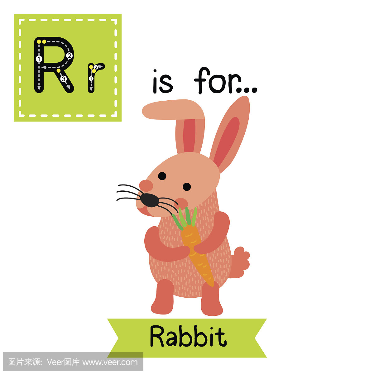 字母R追踪。粉红色的兔子拿着胡萝卜。