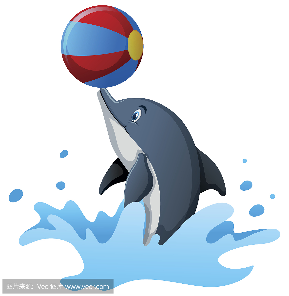 Dolphin playing ball in water