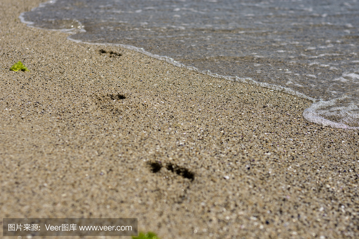 在黑海海滩上的脚步声。浅景深。选择性的焦点