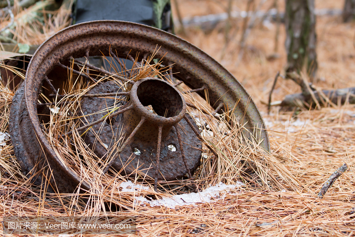 老生锈,松针覆盖的轮子位于森林里。