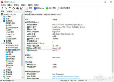 Windows 10显示的DirectX版本根据实际显卡而 Windows 10显示的DirectX版本根据实际显卡而