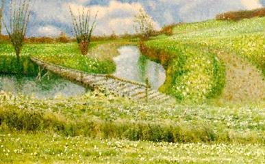 雏菊电影的照片