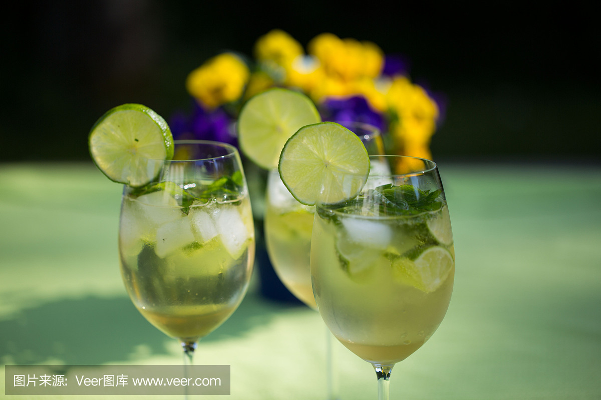 接骨木果,接骨木浆果,普罗赛柯起泡酒,水平画幅