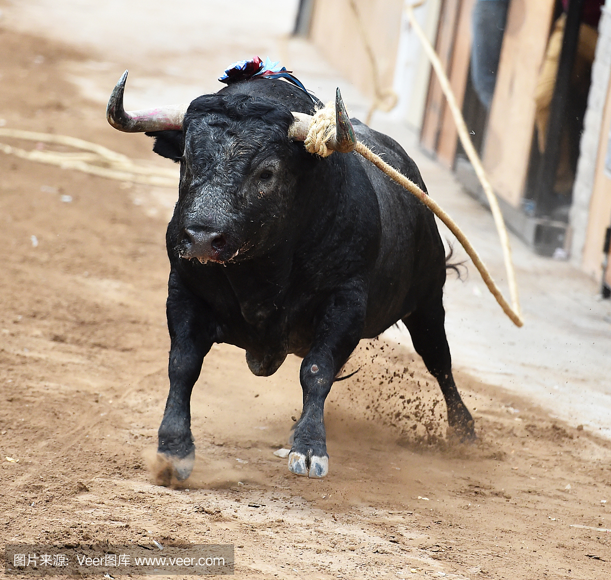斗牛比赛,西班牙斗牛,斗牛,斗牛赛