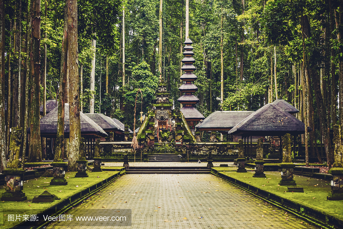 乌干达神圣猴子森林保护区,巴厘岛,印度尼西亚