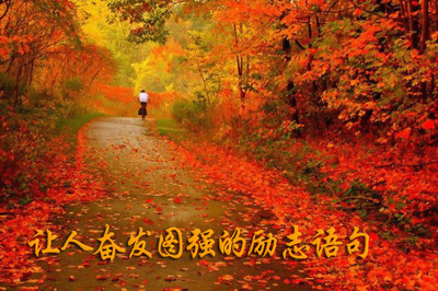 描写游玩的句子