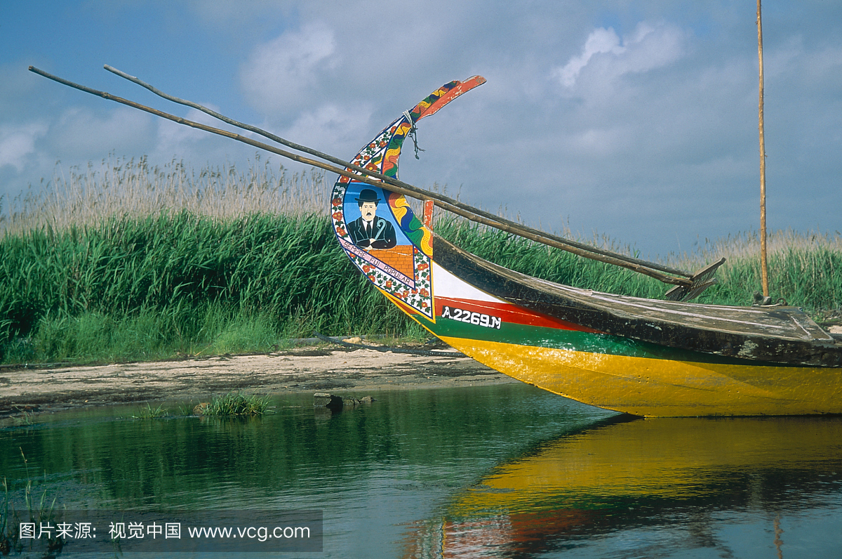 海藻聚集船,几乎不变腓尼基设计,托雷拉