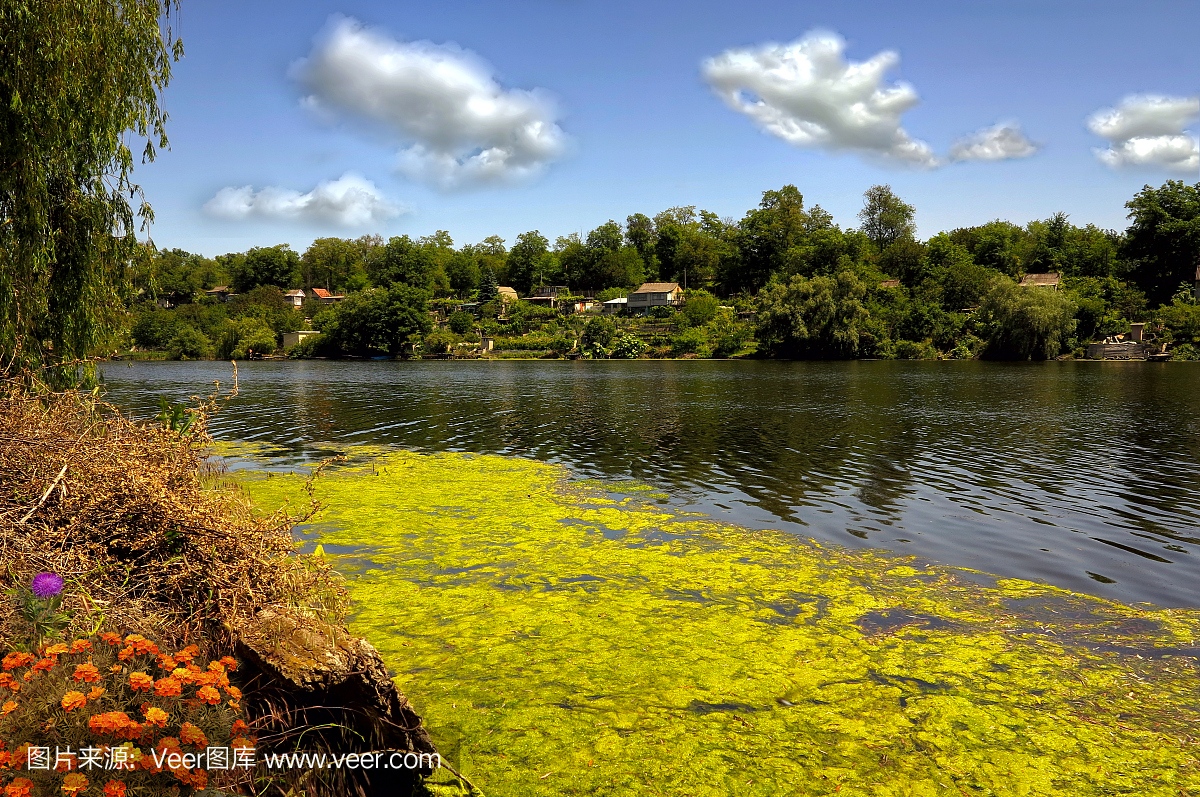 水污染环境与河流概念