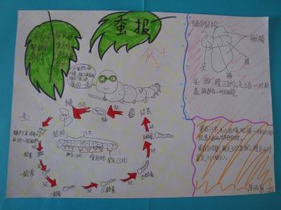 6年级上册期中科学试卷_四年级上册科学教案下载_粤教版6年级上册科学