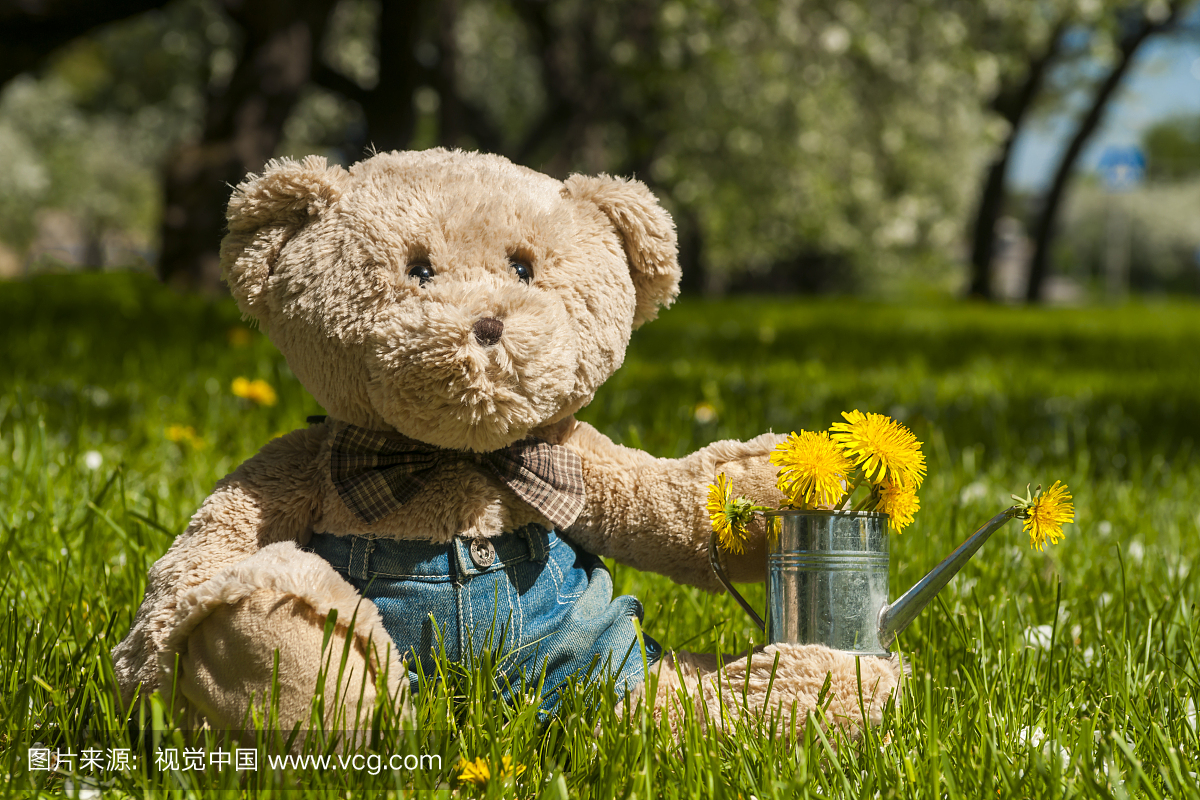 泰迪熊,玩具熊,玩具泰迪熊,玩偶熊