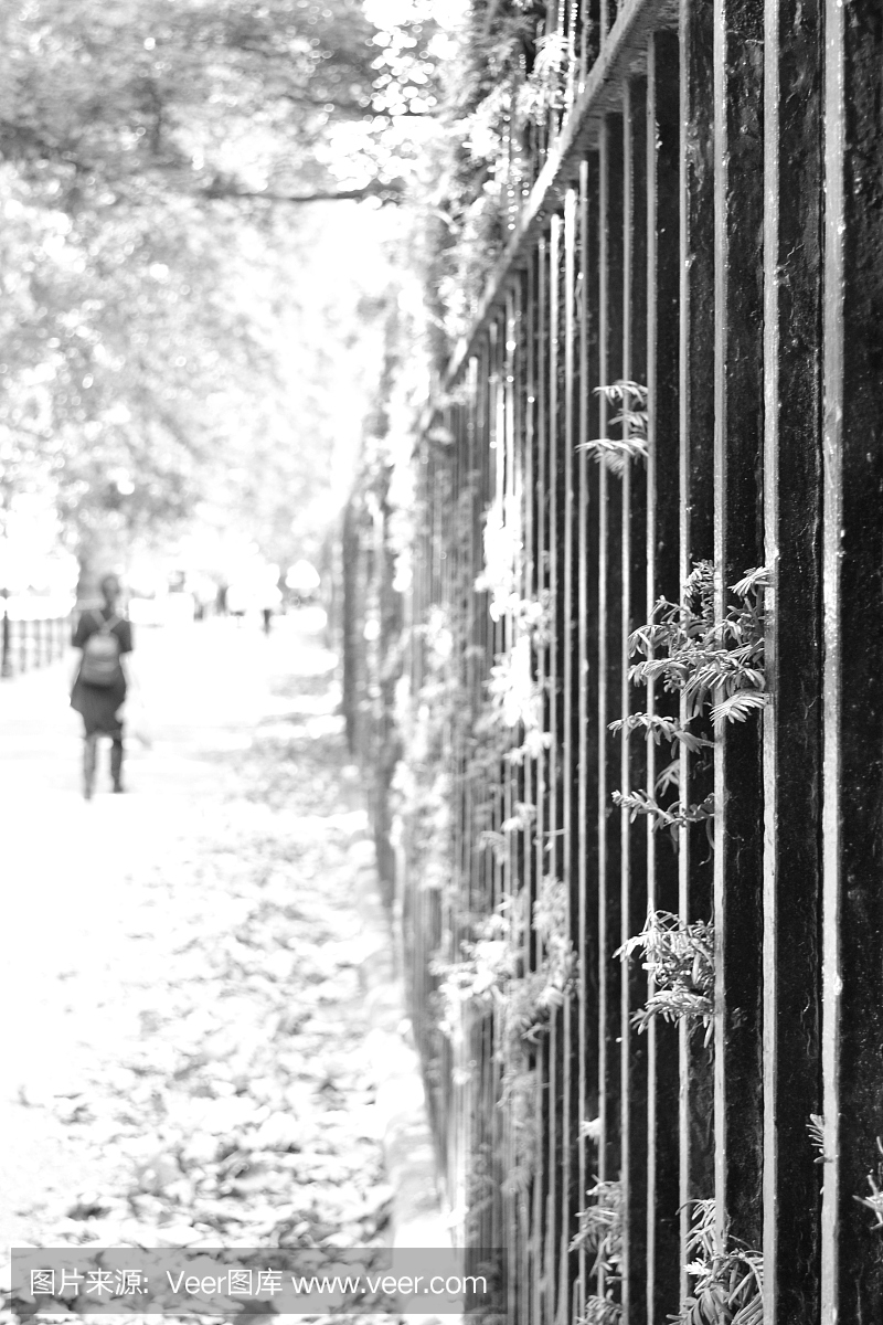围绕在伦敦市中心的一个公园的围栏