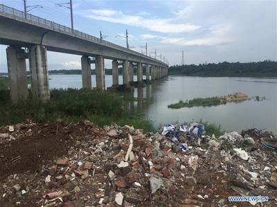 Большое количество мус Большое количество мус