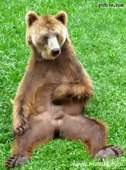 壁纸 动物 狗 狗狗 260_350 竖版 竖屏 手机 gif 动态图 动图