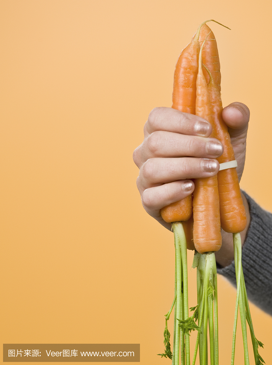 垂直画幅,四肢,胡萝卜,仅成年人