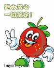动态幽默搞笑qq表情