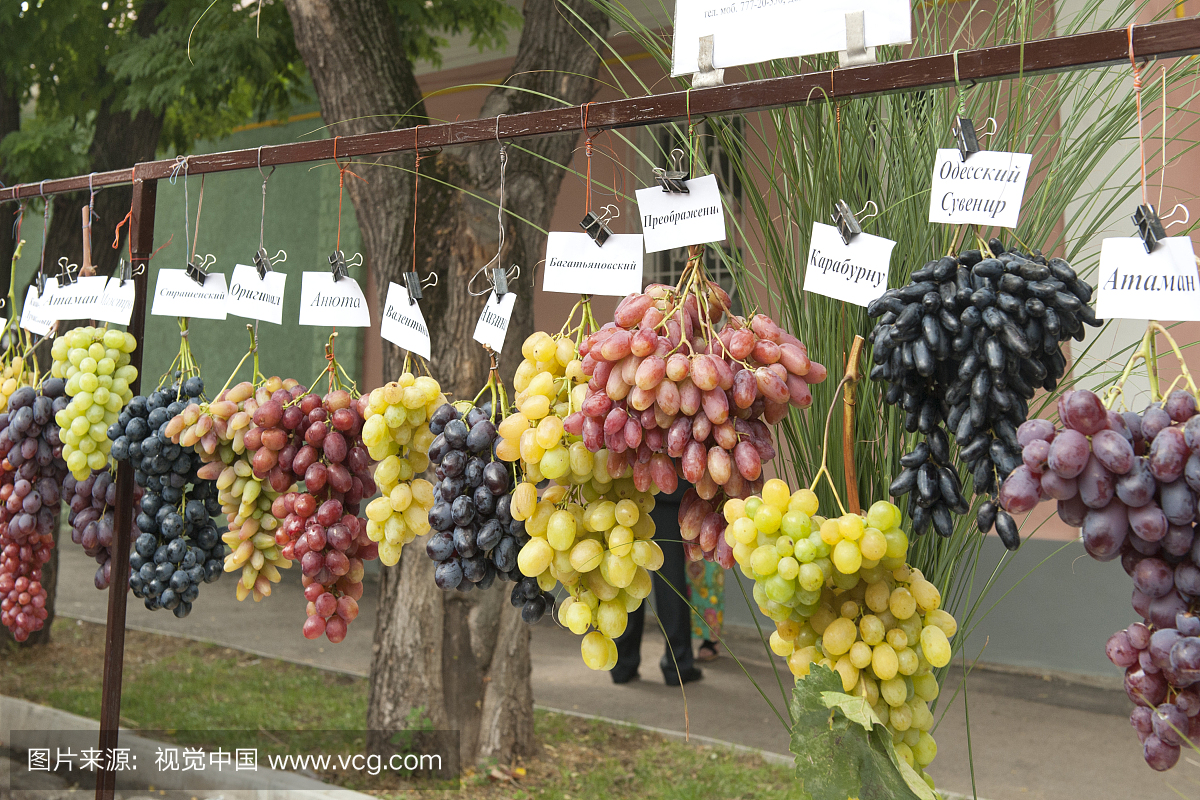德涅斯特河沿岸摩尔达维亚共和国,串,葡萄酒酿