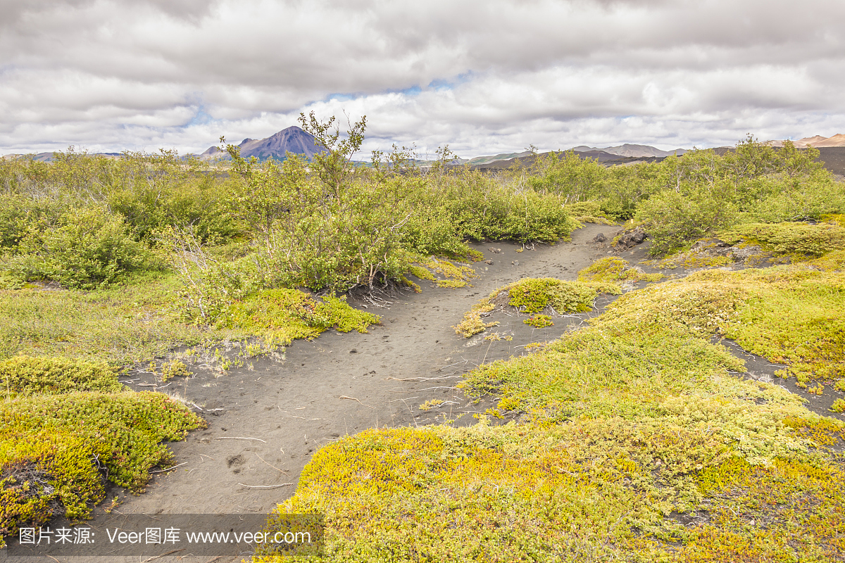 Myvatn地区的徒步旅行路线 - 冰岛。