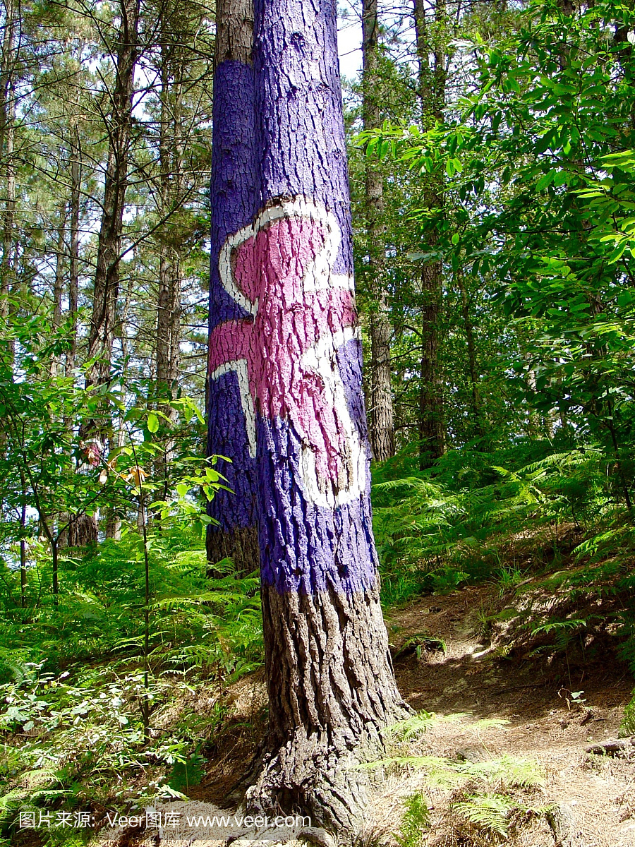 在树上画的紫色背景的粉红色图