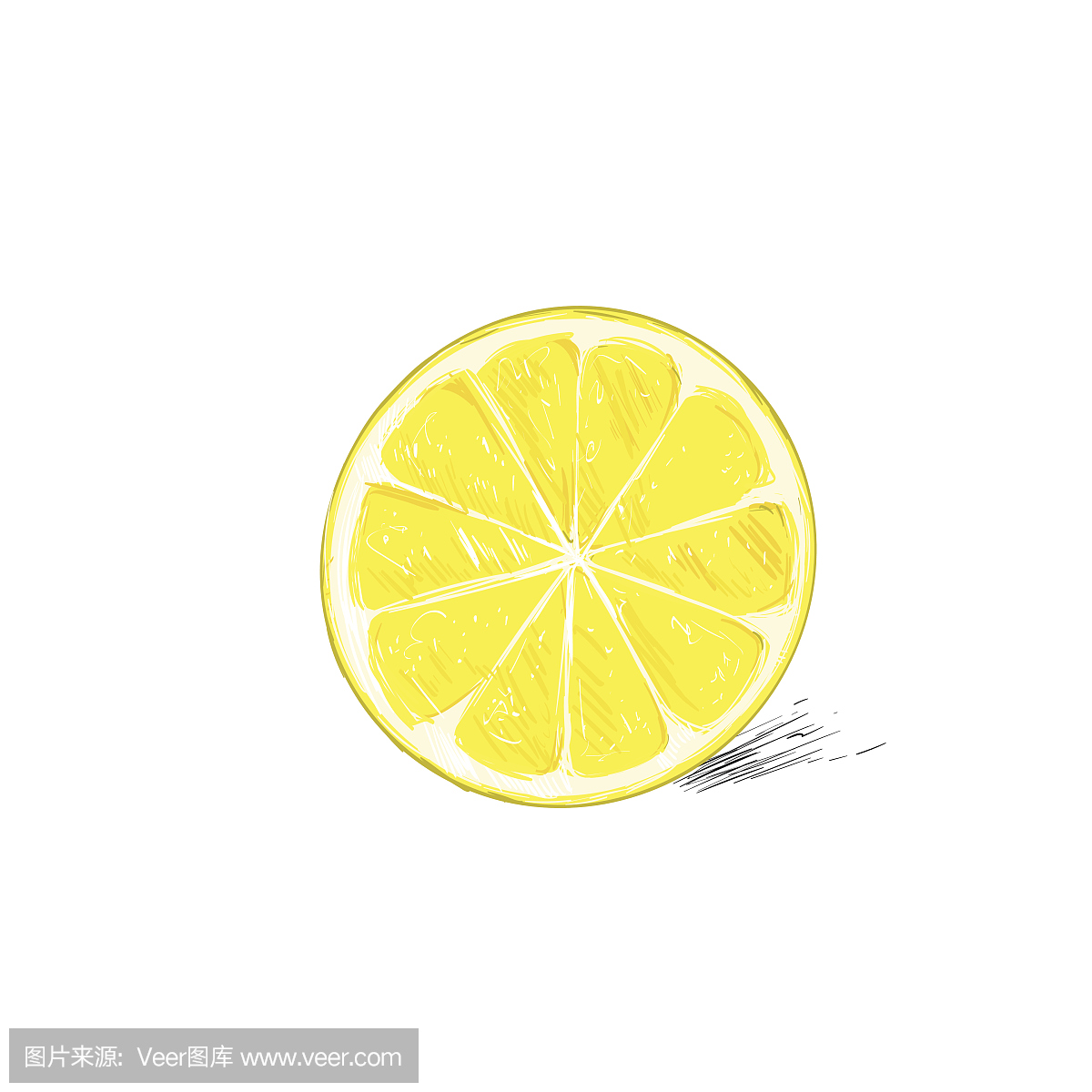 柠檬半切圆柑橘水果颜色素描画