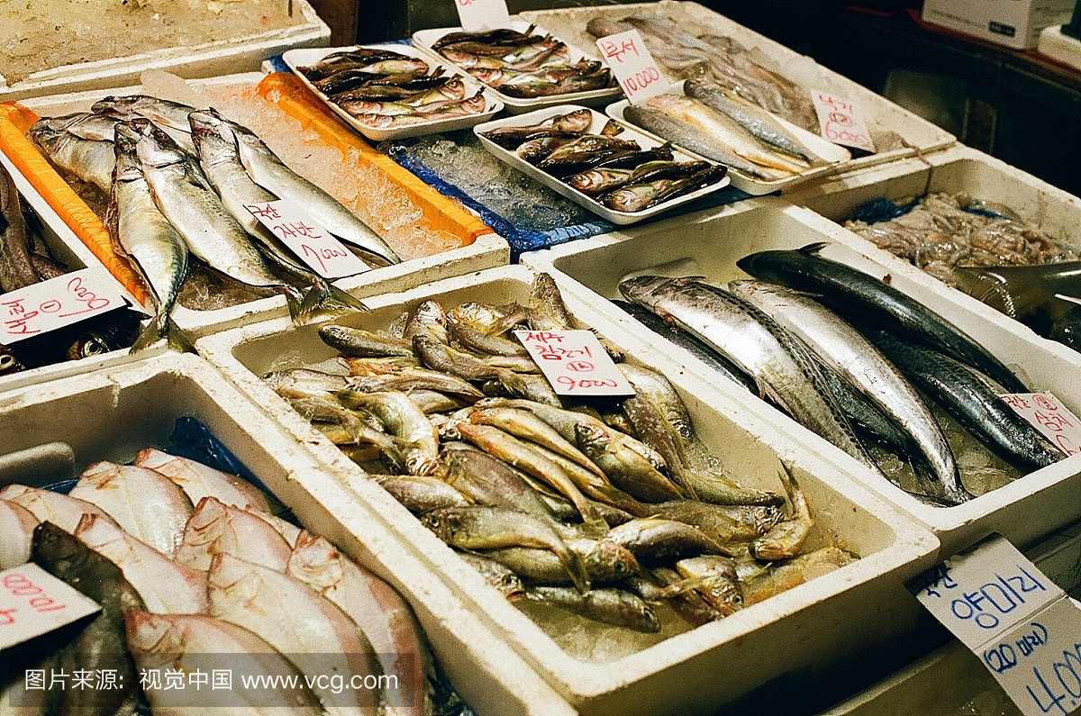 各种鱼的高角度视图在市场上出售