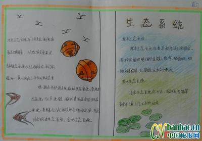 关于动植于植物的科学手抄报