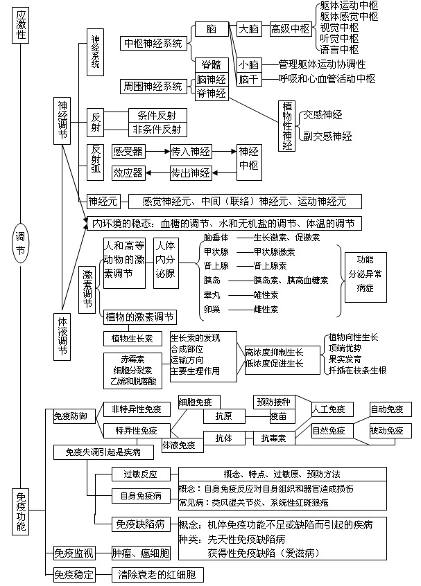 《植物激素调节》教案