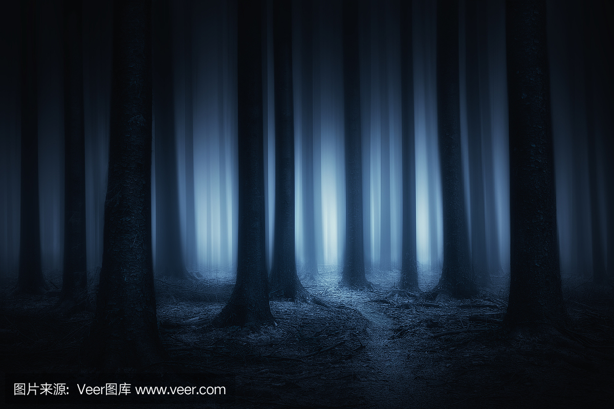 黑暗和可怕的森林在晚上