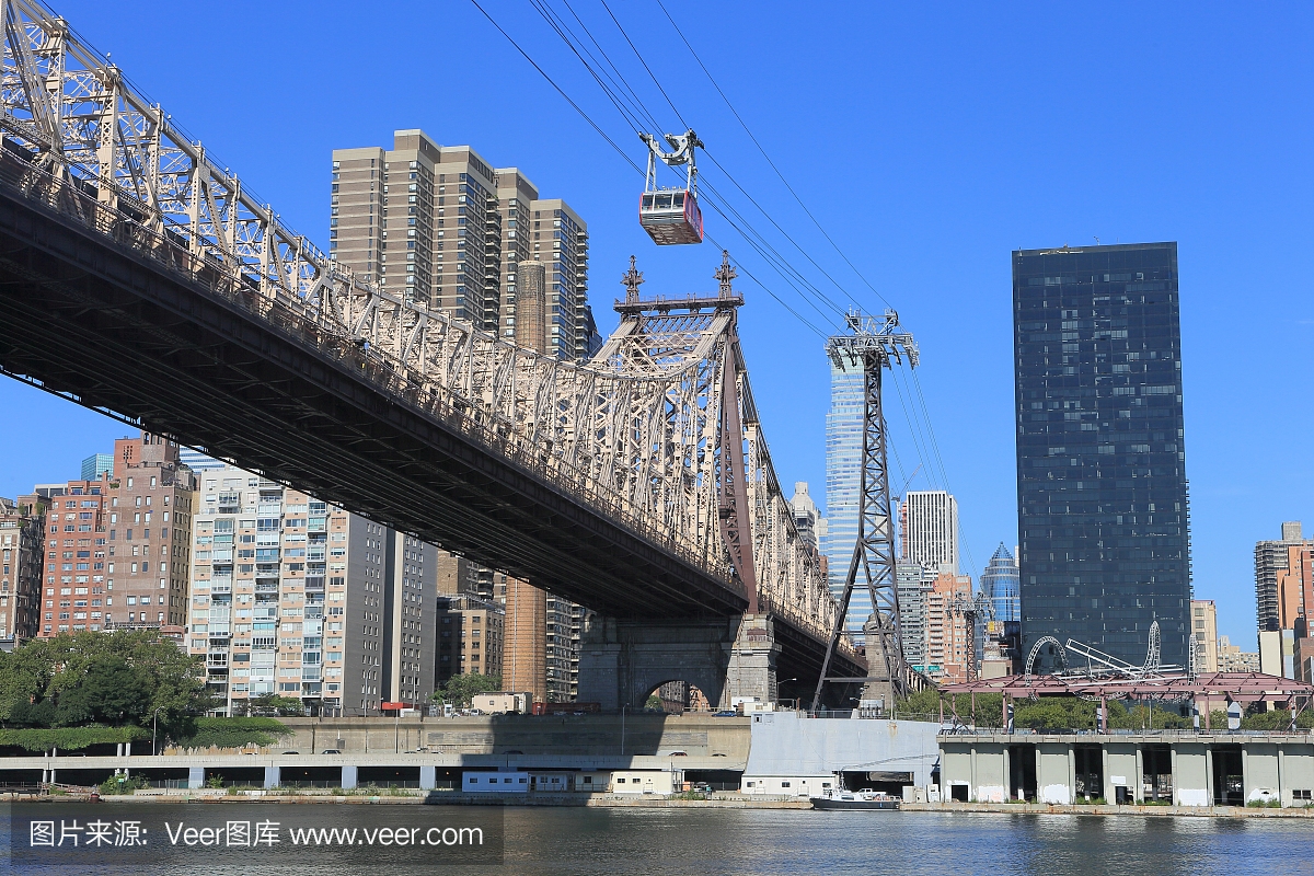 奥多·罗斯福总统,希奥多·罗斯福,老罗斯福总