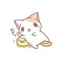 个性网-qq个性头像-日本猫咪头像(1)*可爱*猫-5kb