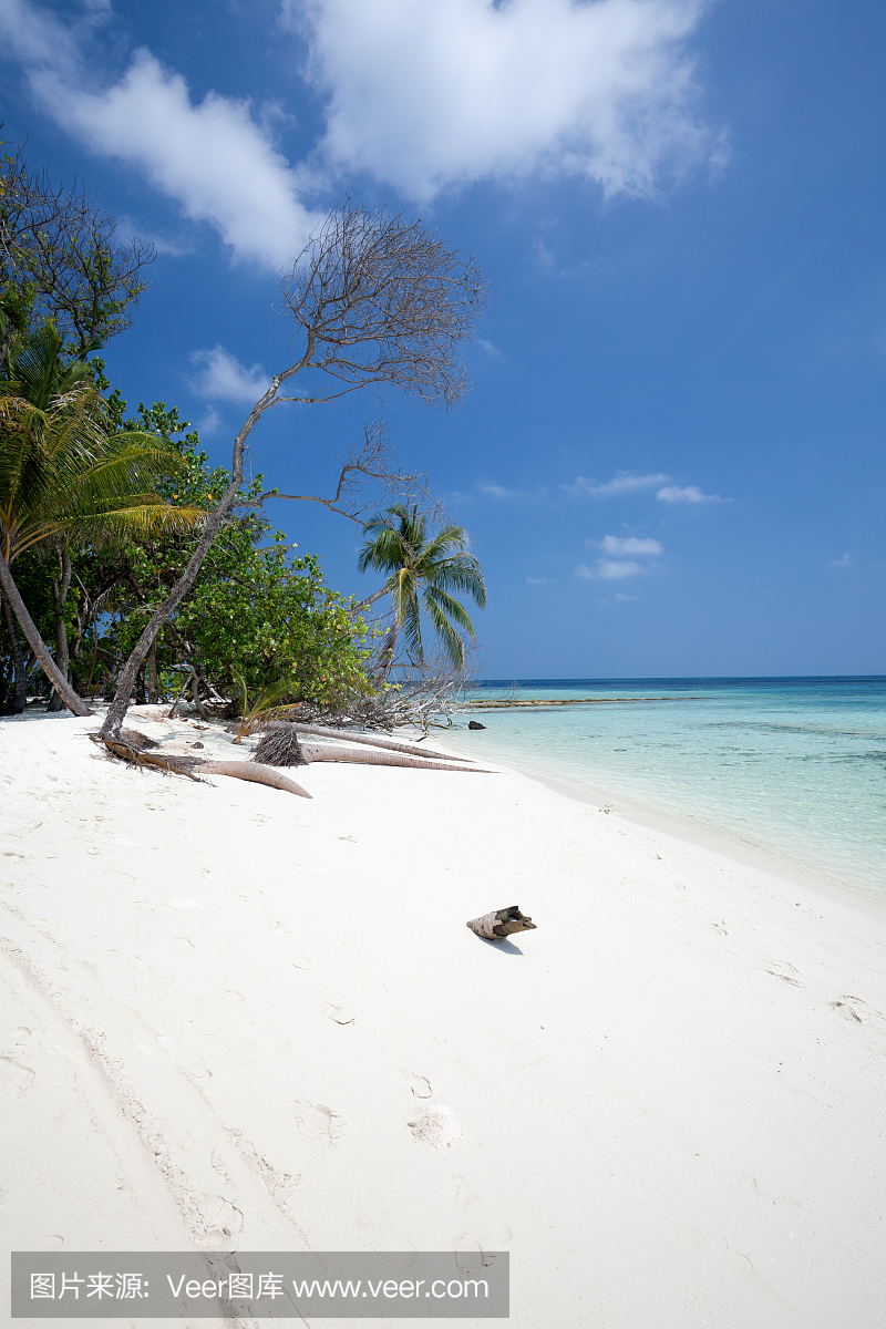 拉古纳海滩,拉古那,拉古那海岸,拉古那沙滩
