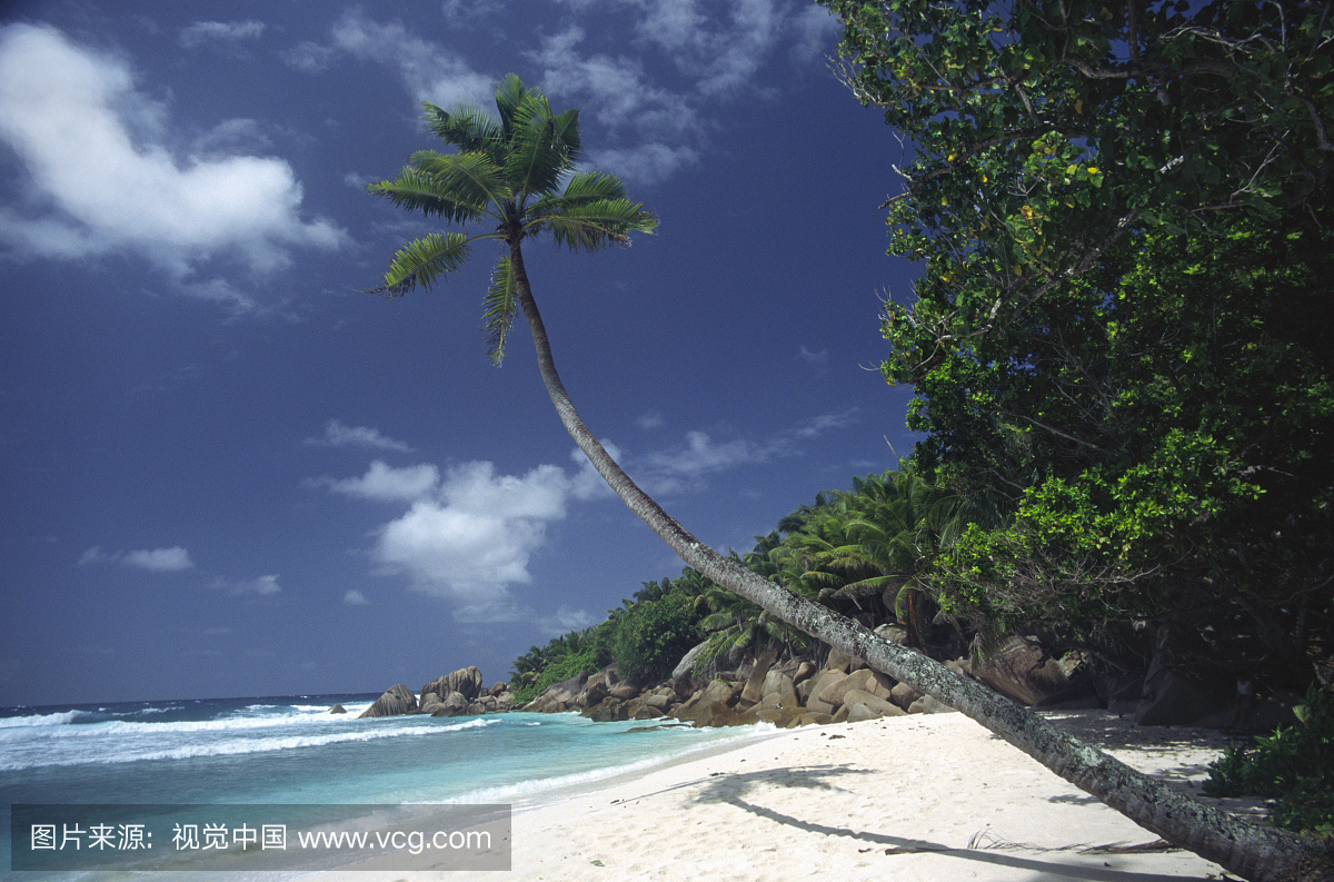塞舌尔的塞维利亚安迪可可海滩