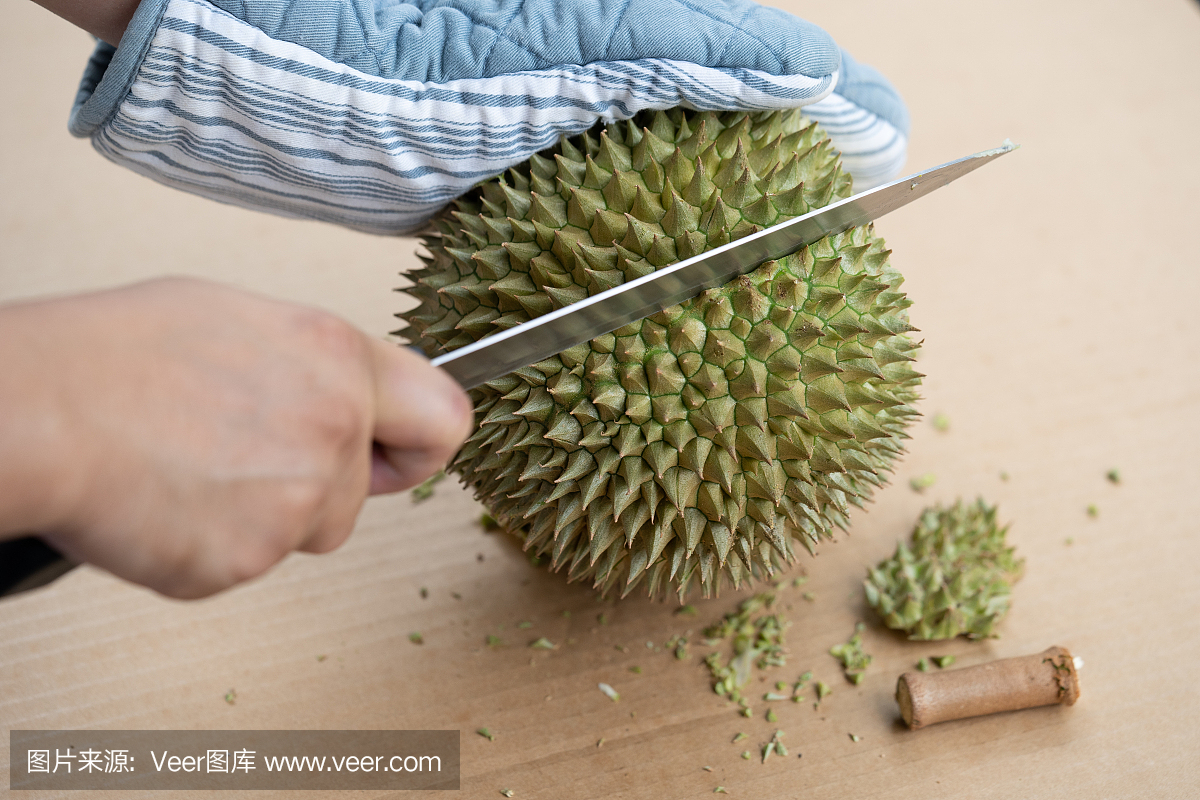 手用刀去皮有很多刺的榴莲壳。'热带季节性水